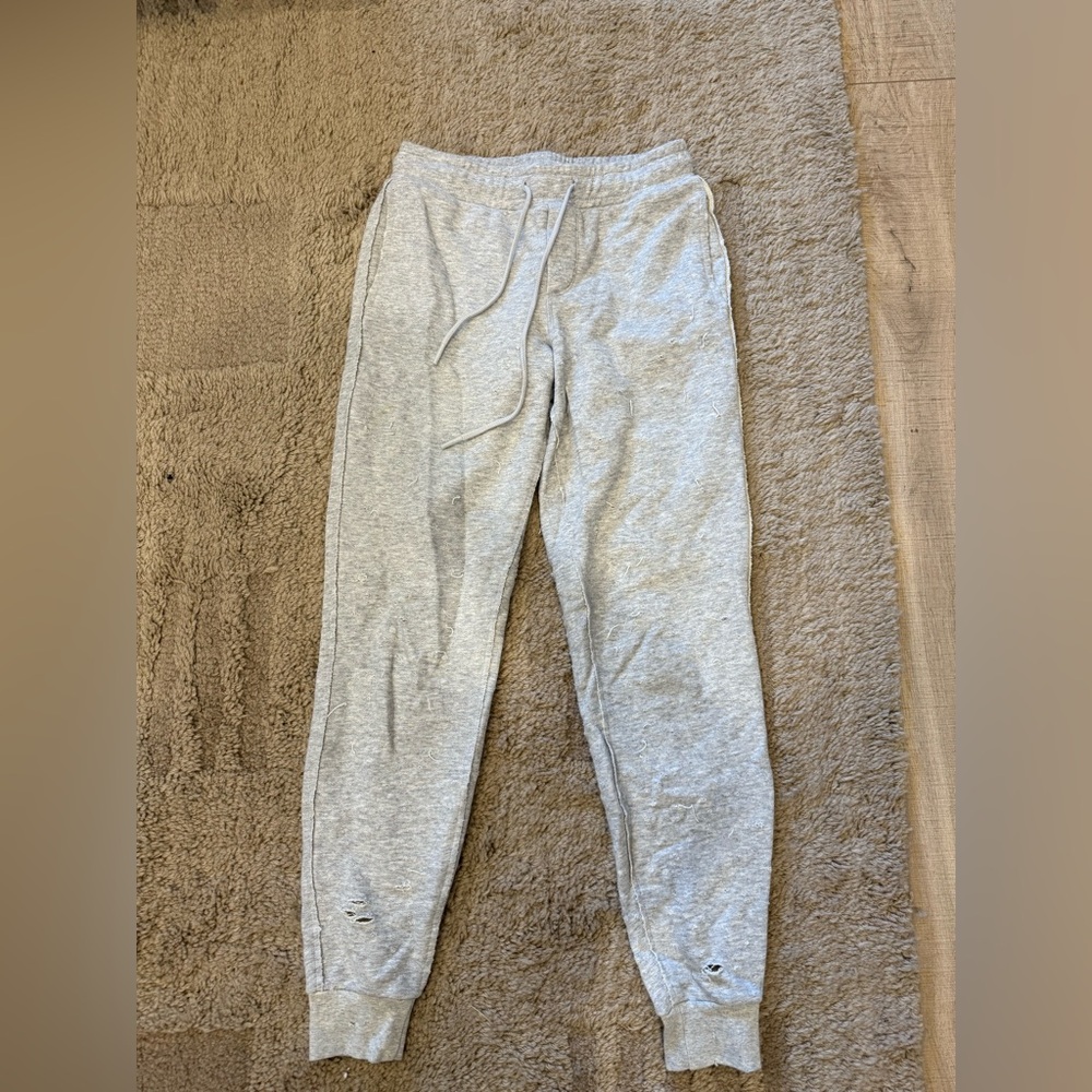 ALO Distressed Gray Joggers